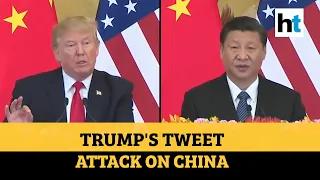 'Great damage to world': Trump slams China as US backs India amid face-off