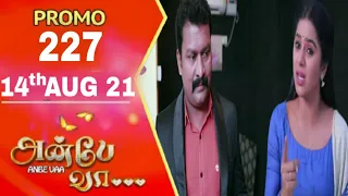 Anbe vaa promo 227/ 14 Aug 21 Today promo review