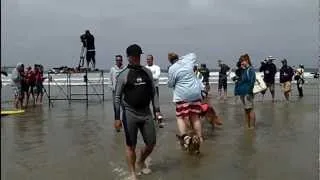 Surf Dogs at Ocean Beach.mp4