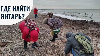 Где найти янтарь? Янтарная лихорадка. Собираем янтарь и я рассказываю о нем.