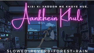 Kisi Ki Yaadon Mein Khoye Hue (Slowed and Reverb) LOFI | Aankhein Khuli | Hindi Lofi Songs 2021