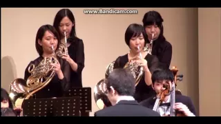 リムスキーコルサコフ（遠藤真理子　編曲）熊蜂の飛行超絶技巧Ver Aile Orchestra