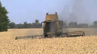 Caterpillar Lexion 575R Combine