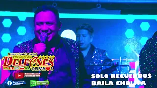 LOS DELFINES DEL AMOR EN VIVO 2022 - SOLO RECUERDOS Y BAILA CHOLITA