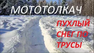 Отзыв владельца о мототолкаче Ураган Тайга. Глубокий пухлый снег. Республика Коми