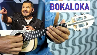 Cifras / Duas paixões / Bokaloka -