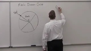 Cell Division