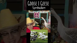 #Goose | #Geese | #symbolism & #SpiritualMeaning of #Seeing | A Friday Podcast Clip w/ Chris Chaos