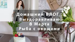 ИДУ НА ПОПРАВКУ☀️ПОДАРКИ НА 8 МАРТА🌸ПРОБНЫЙ ШОКОЛАДНЫЙ ТОРТ🎂ПАЛЬТО MANGO. РЫБА С ОВОЩАМИ.