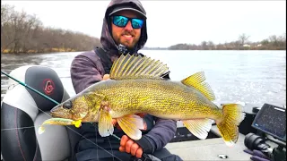 This River is LOADED with WALLEYES! Spring Walleye Fishing
