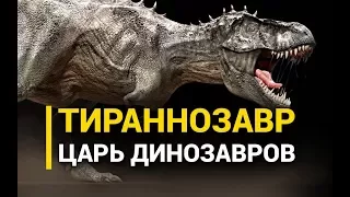 Тираннозавр. Царь динозавров
