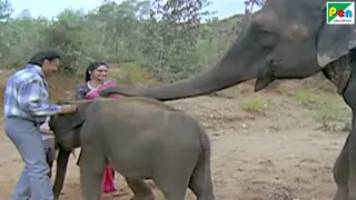किशन ने बचाई हाथी की जान | Main Tera Dushman | Jackie Shroff, Jaya, Sunny Deol, Sridevi