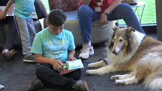 Children Reading to Dogs