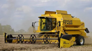 ⭐ Żniwa 2021 ⭐ New Holland TX68 ⭐ Rzepak ⭐