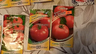 Проверенные и устойчивые к болезням томаты от компании "Гавриш"