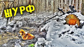 КОП 2021. ЗИМНИЙ ШУРФ ТАМ ГДЕ ЗОЛОТО. В ЭТОТ РАЗ ПОПАЛОСЬ СЕРЕБРО METAL DETECTING FINDS COINS 2021