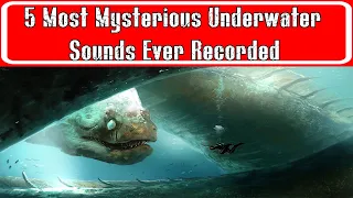 5 Most Mysterious Underwater Sounds Ever Recorded