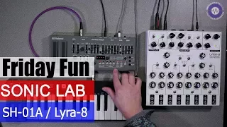 Friday Fun - SH-01A and Lyra-8 Together