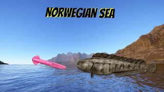 Russian Fishing 4 RF4 - Norwegian Sea - Active spot atlantic wolffish look for your trophy