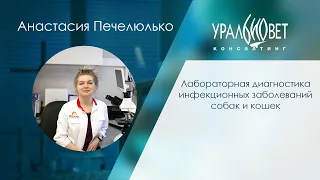 Вебинар "Микоплазмоз, хламидиоз, герпес. Патогенез и диагностика", лектор Анастасия Печелюлько