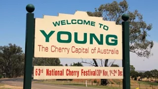 Yowie / Bigfoot Sighting (Audio Report #98) near Young, New South Wales