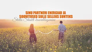 Sinu partneri energiad ja universumi soovitus selles suhtes?