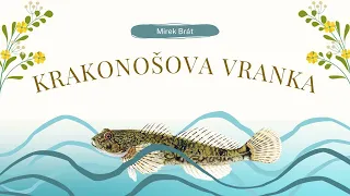 Krakonošova Vranka - Pohádky pro děti (mluvené slovo)