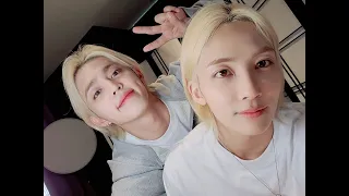 [세븐틴/에스쿱스/정한] 정한이 가만히 못냅두는 쿱스