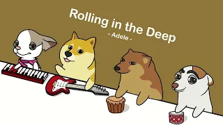 Adele - Rolling in the Deep (cover by Bongo Dog) 🐶