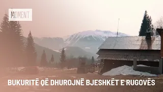 Bukuritë që dhurojnë bjeshkët e Rugovës