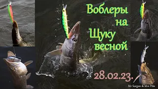 Воблеры на щуку весной