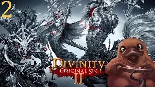 Some Companions - Divinity: Original Sin 2 - Blind Let's Play - Ep. 2