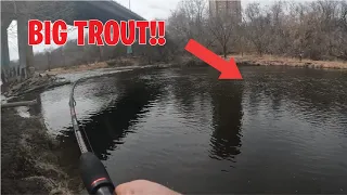 chasing giant trout in a massive river