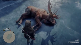 Red Dead Redemption 2 - How to Spawn MOOSE at Cairn Lake (2 Moose in a row: Antlers + Perfect Pelt)