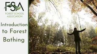 An Introduction to Forest Bathing - Webinar for Forest School