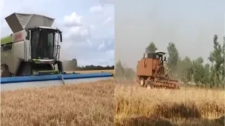 Wheat Harvesting with Best CLAAS CXV42 Combine Harvester