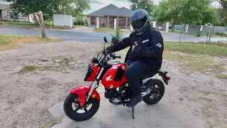 315LB Honda Grom Owner daily commuter