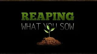 The 7 Keys To Successful Sowing and Reaping Jim Rohn: Inspiration