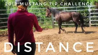 Closing the Distance | 2019 Mustang TIP Challenge