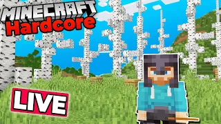 BUILDING a Custom Biome in HARDCORE Minecraft 1.19 Survival Let's Play (#6)