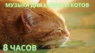 #51🐱Музыка для кошек и котов🐱  Успокойте ваших кошек музыкой, помогите котам спать