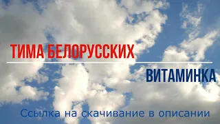 Тима Белорусских - Витаминка (минусовка, Instrumental, karaoke)