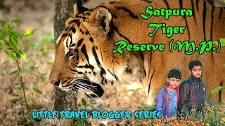 Chasing Tiger and Canoeing on Crocodile filled river | Satpura Tiger Reserve Jungle Safari | Madhai