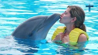 Top 10 Most Funny & Strangest Animal Human Relationship Ever