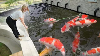 US's Largest Koi Pond! **Jumbo Fish**