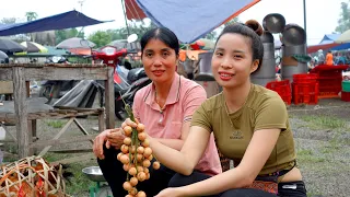 FULL VIDEO : Harvest vegetables,fruits and catch chickens Goes to the market sell - Ana Bushcraft