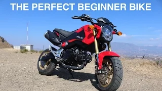 VLOG #010 - 10 reasons the Honda Grom is the perfect beginner bike