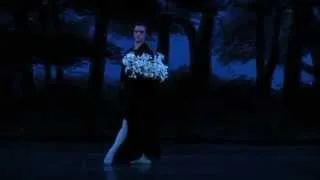 Diana Vishneva - Sergei Polunin - Giselle (7)