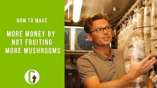 Profitable Mushroom Farming | Make Money Growing Mushrooms | GroCycle