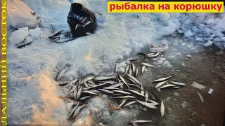 Рыбалка на корюшку  Джаорэ  Пятая часть